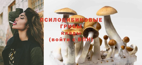 метадон Лихославль