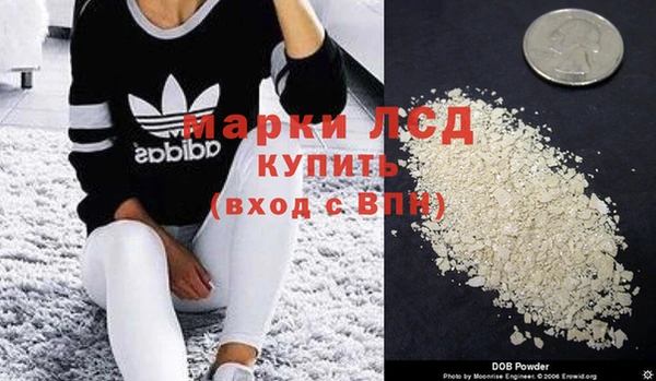 spice Кукмор