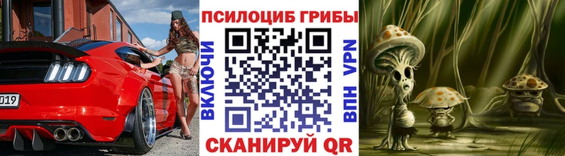 Галлюциногенные грибы Cubensis  купить   Лихославль 